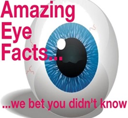 Interesting facts you should know about Human Eye