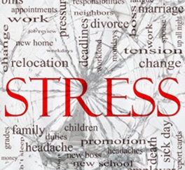 Some major causes of stress