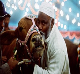 Celebrations of Eid-Ul-Azha with true Spirits