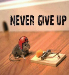 Never give up: 7 signs you’re successful — even if it doesn’t feel like it