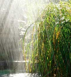 The Do's and Don'ts in Rainy Season