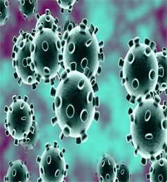 Why Coronavirus is called Covid-19 and 10 Important Facts About Coronavirus