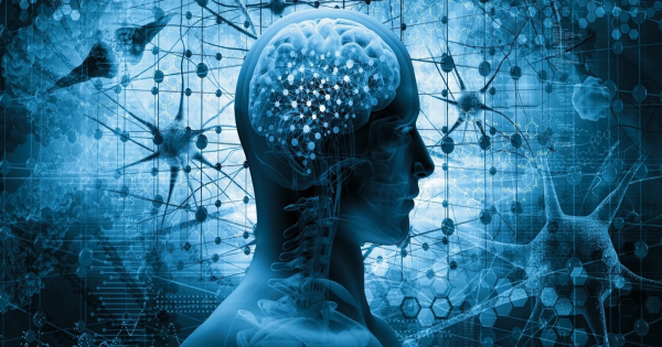 How to Learn Anything Faster: Techniques Backed by Science