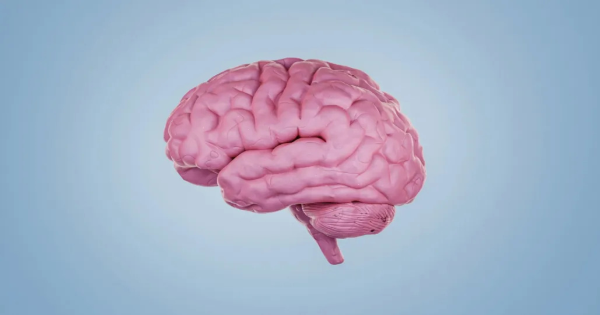 Mind Mapping for Smarter Studying: A Visual Learning Guide