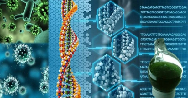 The Future of Biological Sciences Emerging Degree Programs 