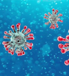 9 Countries That Have Almost Controlled The Coronavirus Pandemic