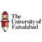 The University of Faisalabad