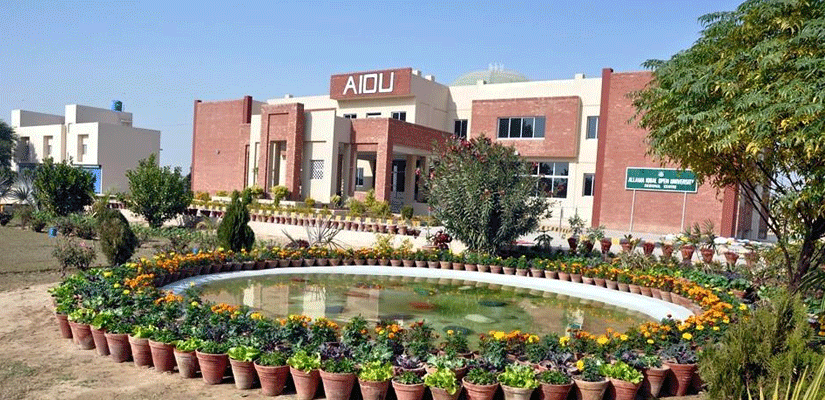 ilmkidunya