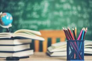 Investigation Launched into Lahore Government Schools Over Illegal Sale of Private Textbooks
