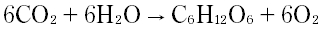 Option Image