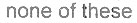 Option Image