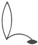 Option Image