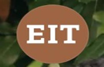 Ellison Scholars Undergraduate Scholarship 2026 UK