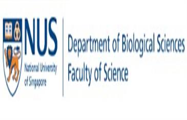 NUS Amgen Scholars Program 2026 in Singapore Fully Funded