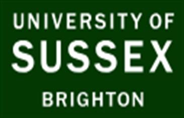 University of Sussex MBA Impact Scholarship 2027 in the UK